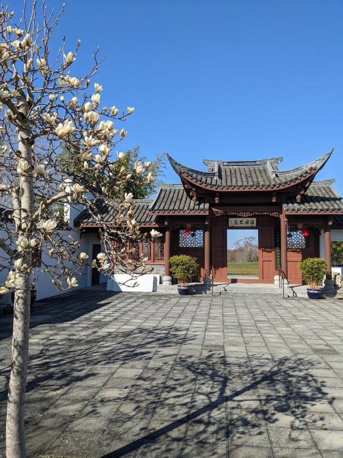 High Point Guesthouse - Next To Seattle Chinese Garden מראה חיצוני תמונה