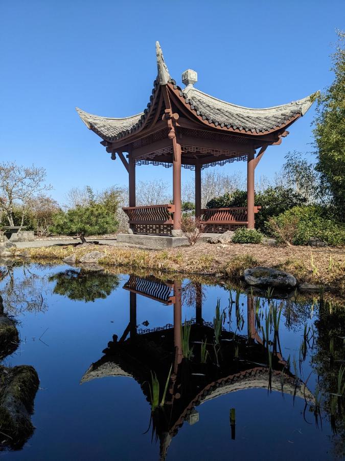 High Point Guesthouse - Next To Seattle Chinese Garden מראה חיצוני תמונה